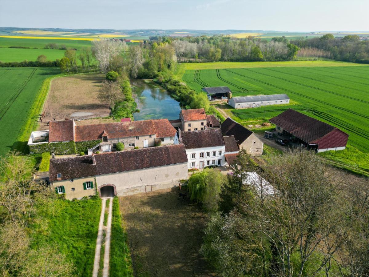 Villa Le Moulin Neuf à Brienon-sur-Armançon Extérieur photo