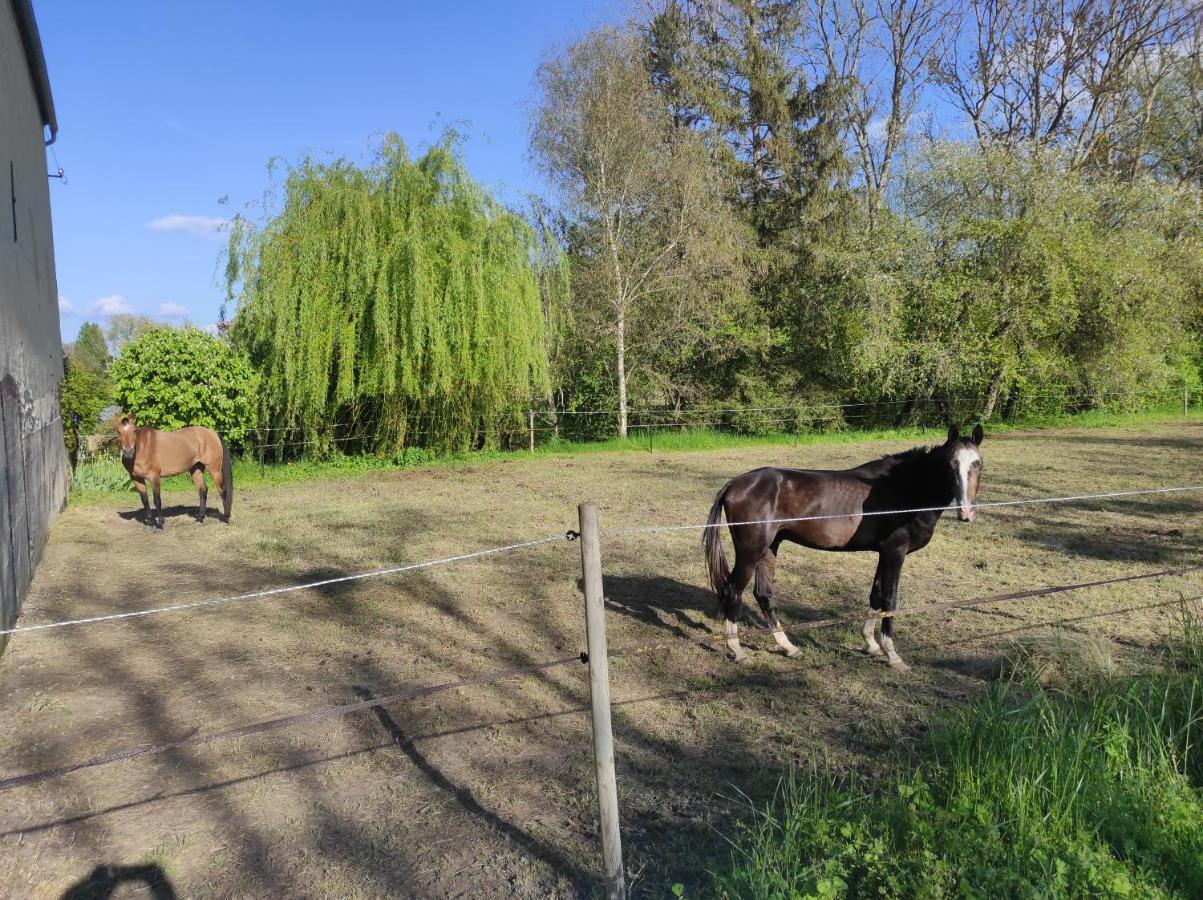 Villa Le Moulin Neuf à Brienon-sur-Armançon Extérieur photo