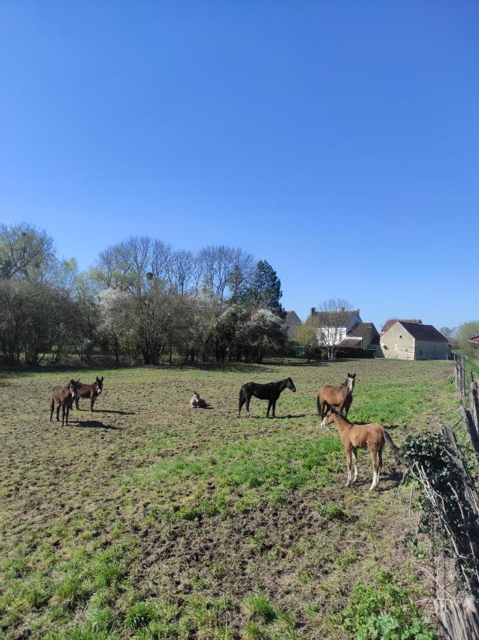 Villa Le Moulin Neuf à Brienon-sur-Armançon Extérieur photo