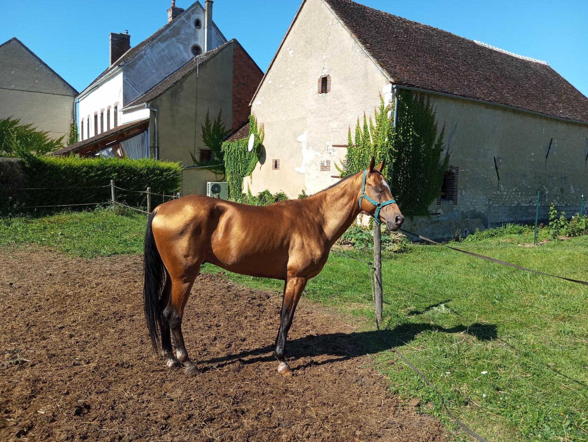 Villa Le Moulin Neuf à Brienon-sur-Armançon Extérieur photo